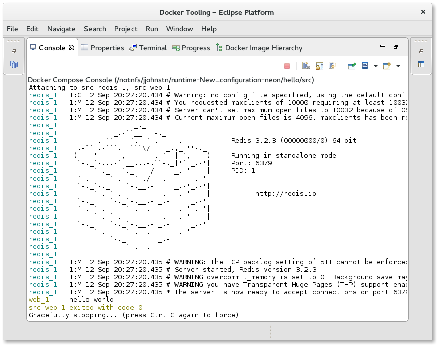 LinuxToolsDockerComposeConsole.png