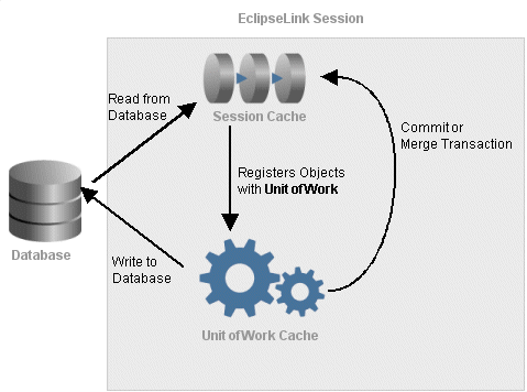 Object Life Cycle and the EclipseLink Caches