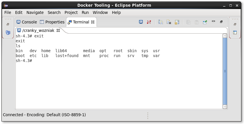 LinuxToolsDockerTerminal.png