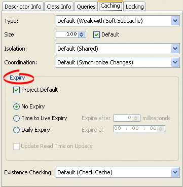 Caching Tab, Expiration Options