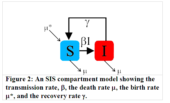 CMfig2.gif