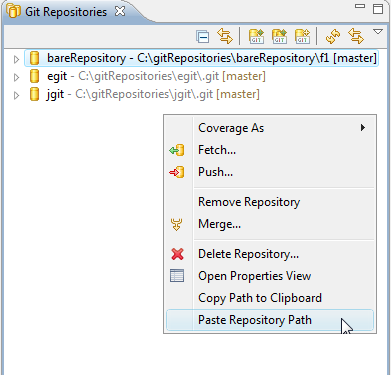 RepoMgrPasteRepositoryPath.png