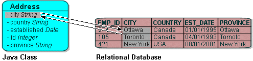 Direct-to-Field Mapping