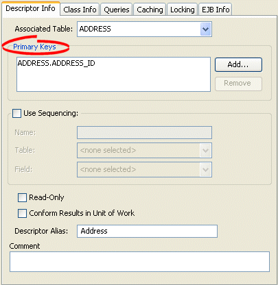 Descriptor Info Tab, Primary Key Options