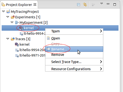 RenameTraceAction.png