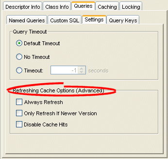 Descriptor Queries Settings Tab, Cache Refreshing Options