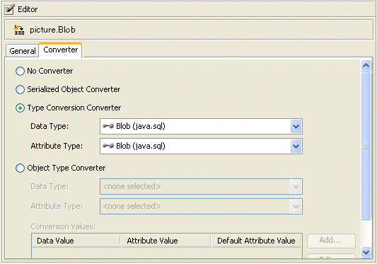 Mapping a BLOB in Workbench