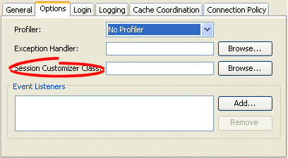 Options Tab, Session Customizer Class Field