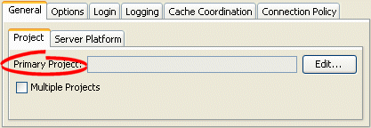 General Tab, Project Subtab, Primary Project Option