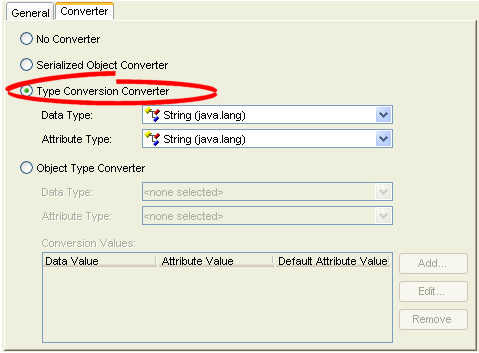 Converter Tab, Type Conversion Converter Option