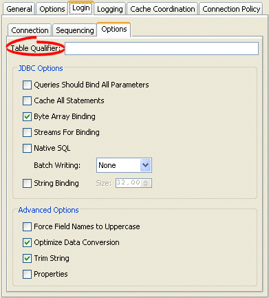 Login Tab, Options Subtab, Table Qualifier Field